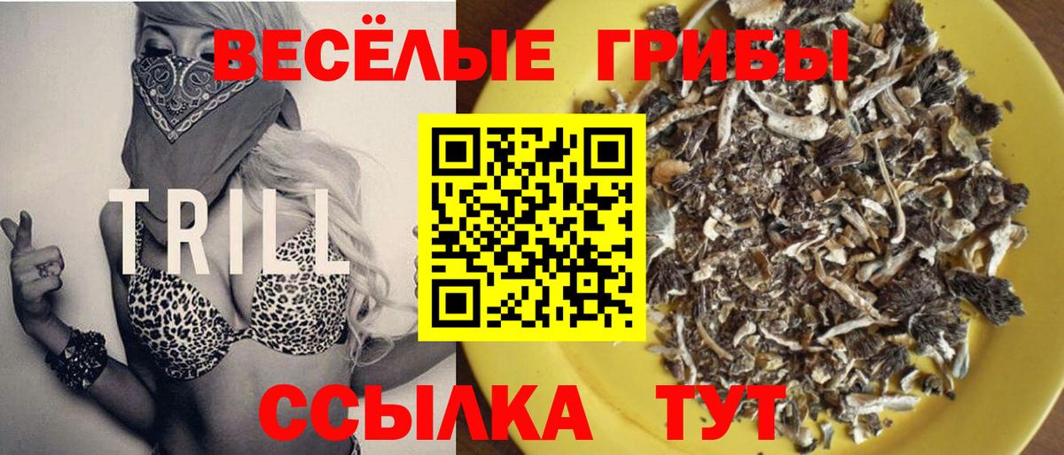 Тавда  Галлюциногенные грибы прущие грибы  сколько стоит  Вход с VPN 