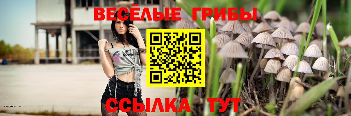Псилоцибиновые грибы Cubensis Тавда