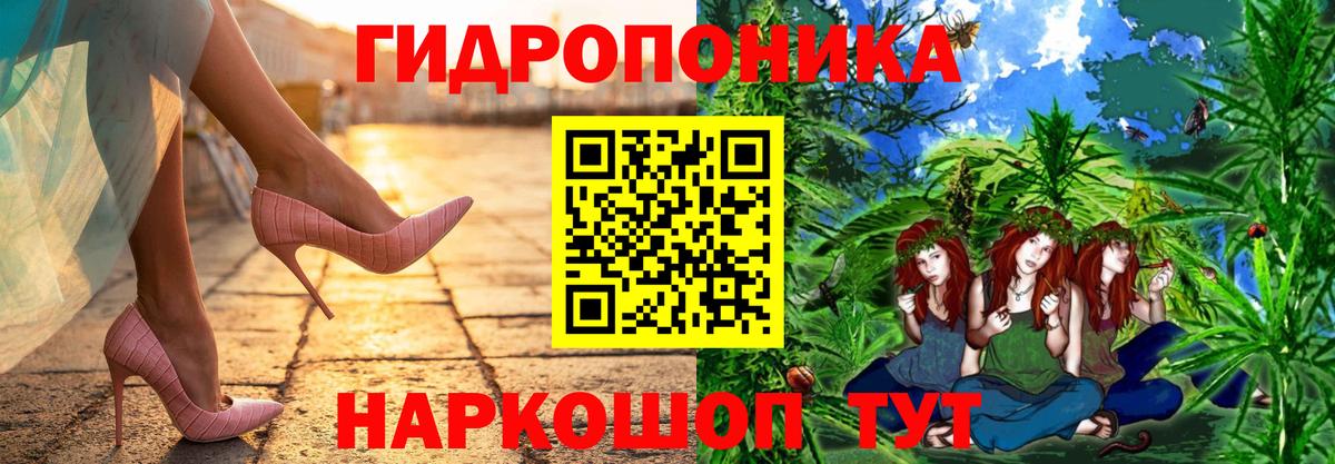 Бошки Шишки Amnesia  Каннабис планчик  Вход с VPN  Тавда 